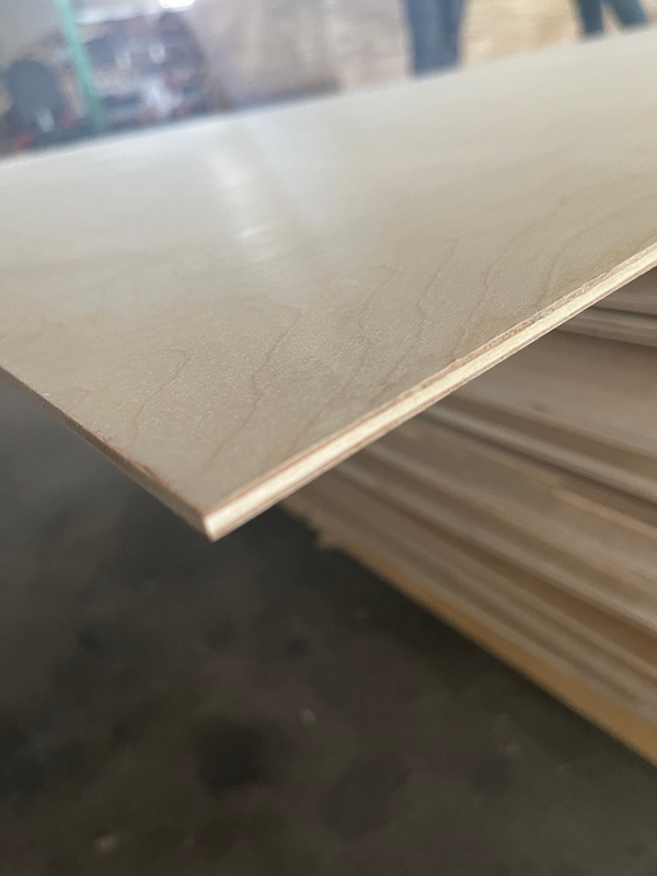 birch plywood