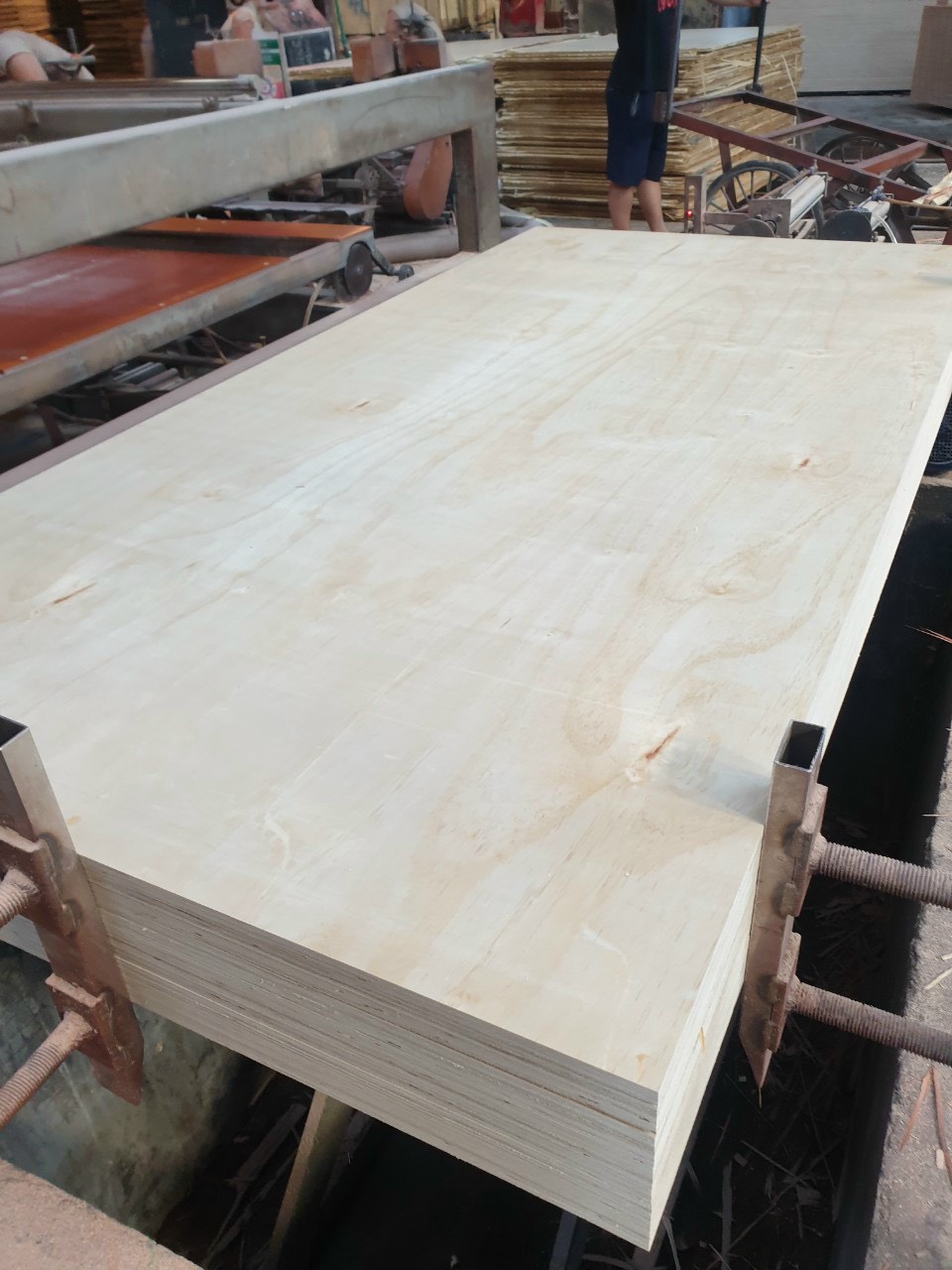 pine plywood (2)