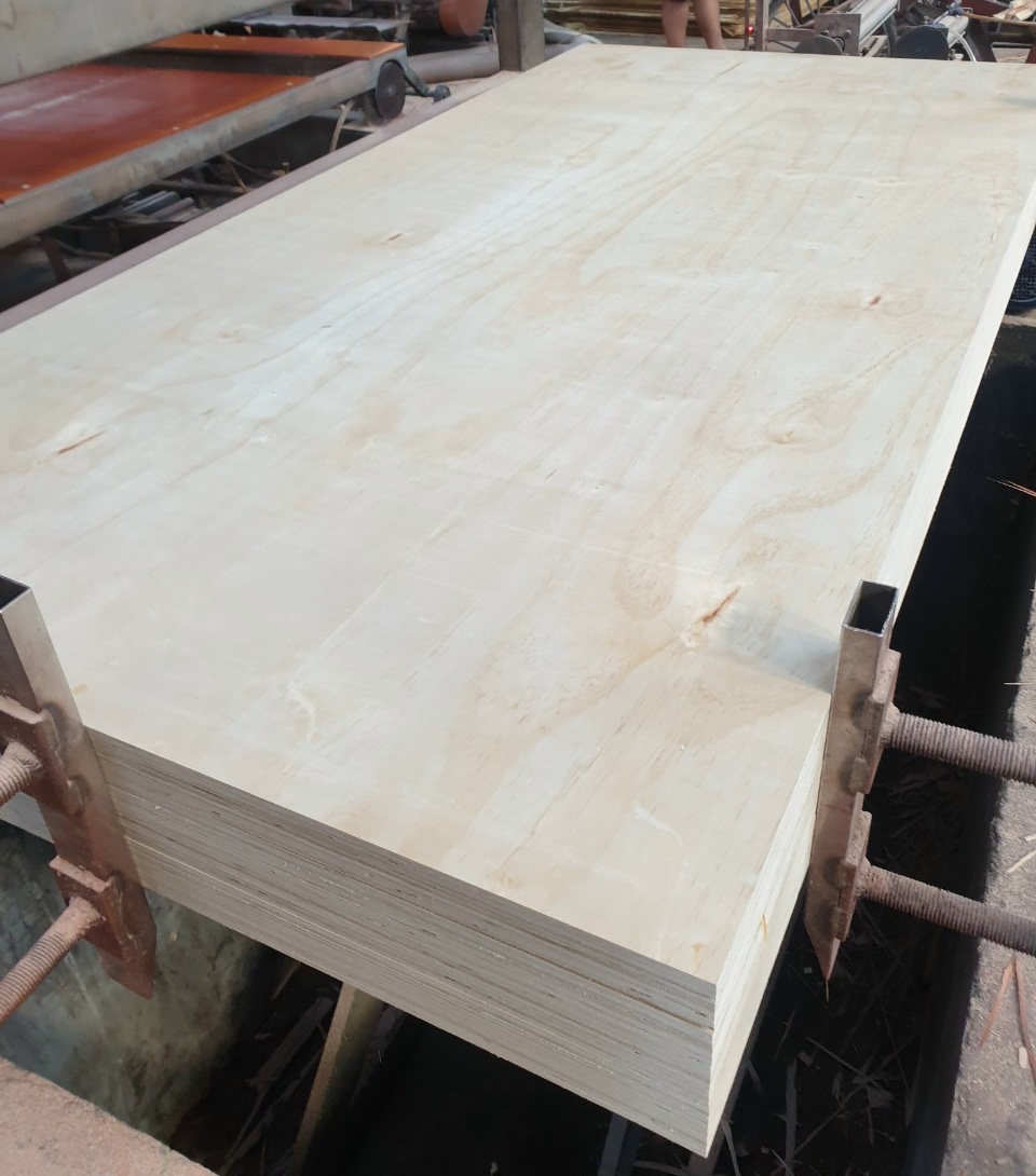 pine plywood (5)